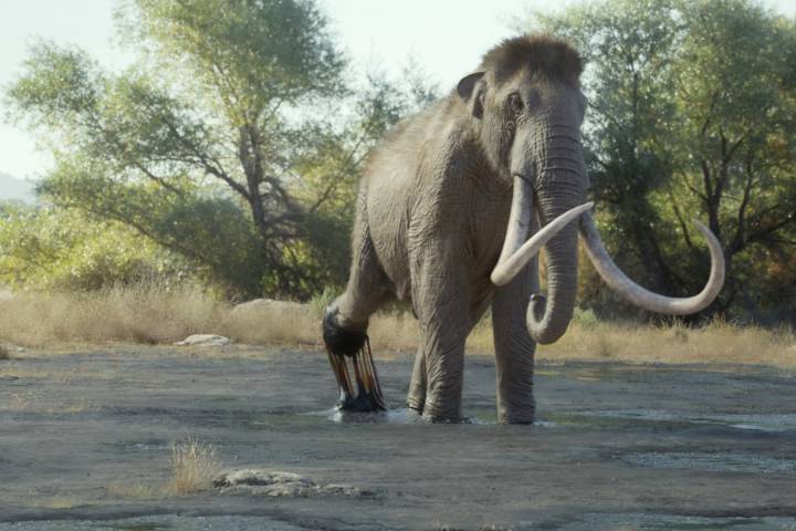 A foot-tall elephant? 'Prehistoric Planet: Ice Age' on Apple TV reveals surprising creatures