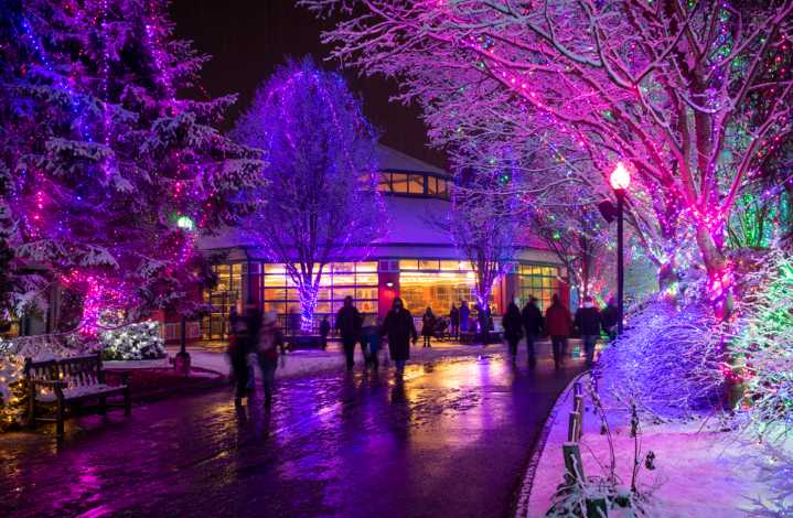 Wildlights Returns for 37th Year at Columbus Zoo with Dazzling New...