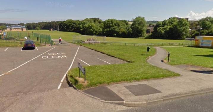 Large groups of youths 'targeting houses' in Peterlee