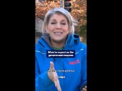 Government reopening: next steps