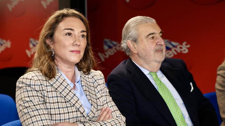 Un mes sin nuevos focos de gripe aviar en Castilla y León: "Hay que mantener la vigilancia"