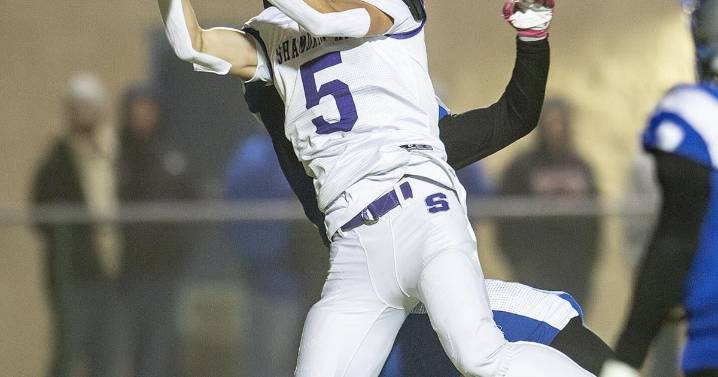 Steckert late score ends Shamokin's season
