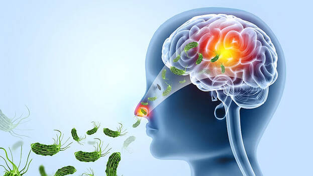 Eight out of 17 infected people die in 20 days, 41 deaths in 11 months: Amoebic Meningoencephalitis continues to create concern