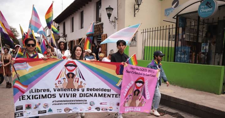 Reforma electoral con un rostro plural