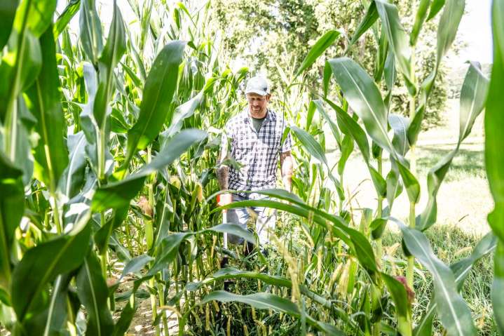 What’s happening at Powell Farm?