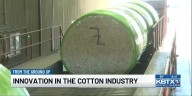 From the Ground Up: Innovation in the cotton industry