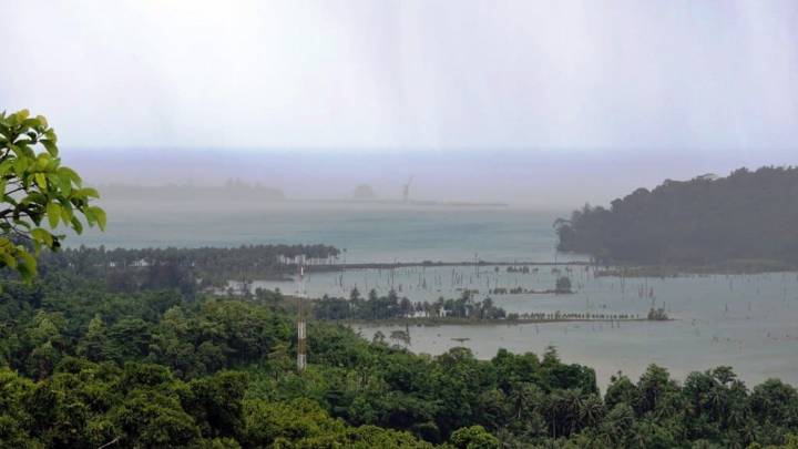 Great Nicobar Project: Petitioner seeks full disclosure of key report