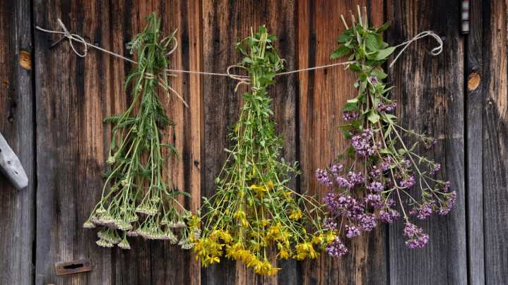 The Correct Method For Hang-Drying Herbs The Old