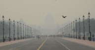Thick smog covers Delhi as air quality reaches severe levels