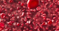 Invisible, sudden, fatal: Why blood clots are deadly and how Indian research aims to tackle the risk