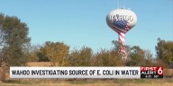 Wahoo investigating source of E. coli in water