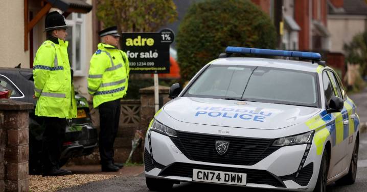 Nine-month-old boy mauled to death by XL bully named as inquest opens