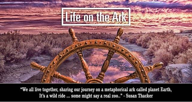 The clocks are right again