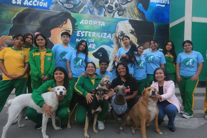 ¡Ejemplar! Impulsan ley para enseñar tenencia responsable de mascotas en colegios