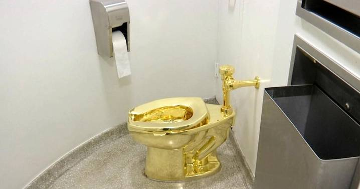 Flush with cash? Fully functional, solid gold toilet sells for $12.1M at auction