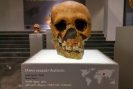 La extinción de los neandertales siempre ha sido un misterio. La ciencia cree ahora que siguen con nosotros