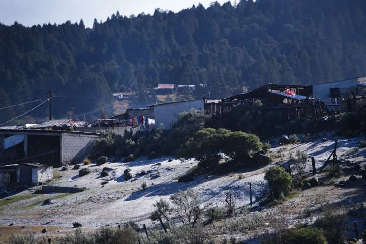 Vulnerable al frío, al menos 70% de la población de Tequila, admite el alcalde