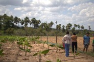 With COP30, Indigenous Brazilians strive for new resources to protect nature