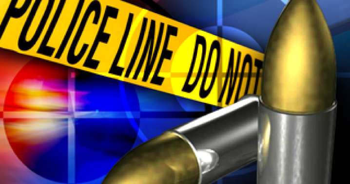 Parkville woman hit by stray bullet fired from neighbor's apartment