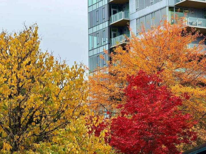 Thanksgiving week begins to dry, warm up in PNW