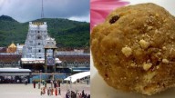 Tirupati laddoo row: How Uttarakhand-based Bhole Baba dairy supplied ghee worth Rs 250 crore without a drop of milk