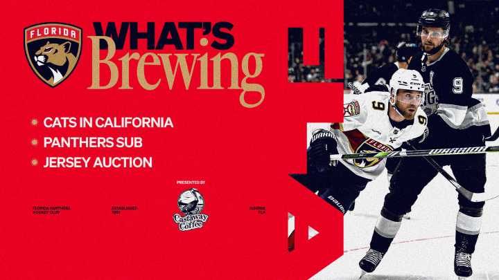 What’s Brewing: Cats in California