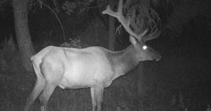 Life after dark: Part two