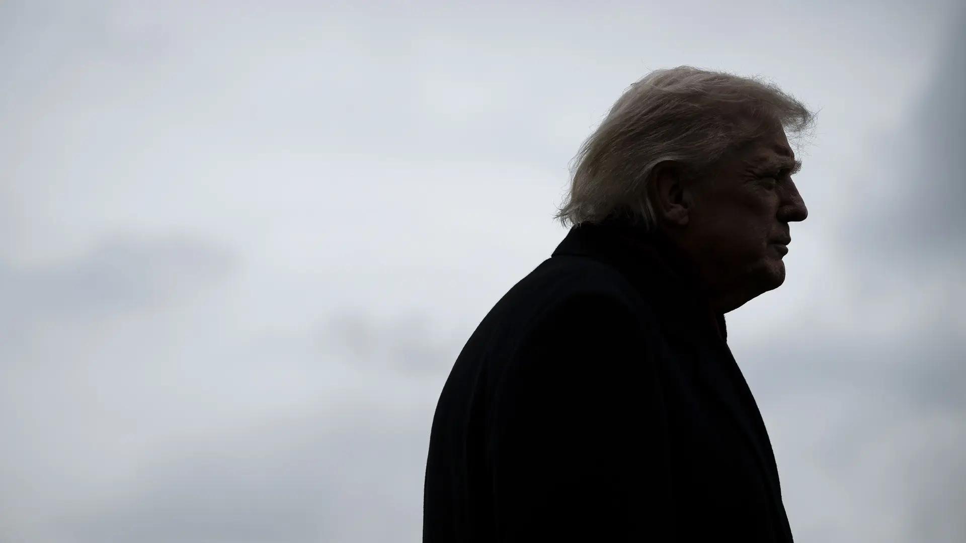 Cesiones territoriales y blindaje de la OTAN: puntos que gustan a Putin de la propuesta de Trump