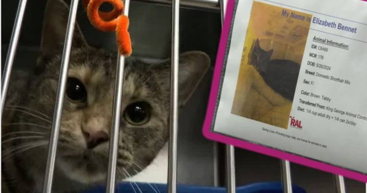 Operation Silent Night seeks 'beautiful silence' at Richmond shelter