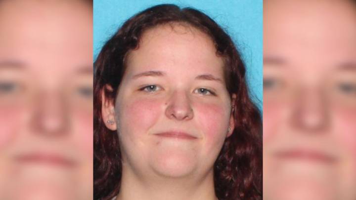 Law enforcement seeks help finding missing Berrien County teen