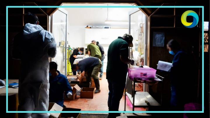 Aseguran Profepa y Guardia Nacional 774 ejemplares de tortugas en el aeropuerto de Tijuana