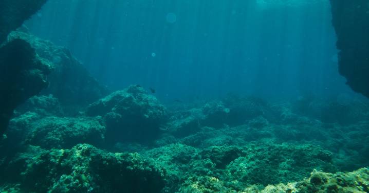 Man drops camera into ocean and what it films leaves experts stunned