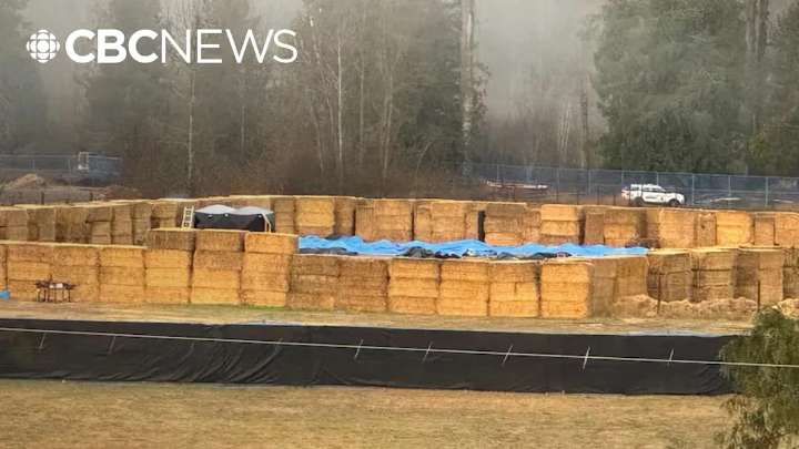 Hundreds of ostriches culled at B.C. farm after months of drama
