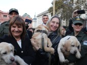 El Gobierno prepara una reforma profunda en Seguridad: el ministerio gana poder y tendrá una Policía Migratoria
