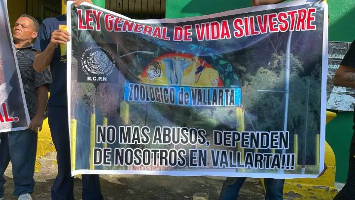 Activistas protestan en el Zoológico de Puerto Vallarta