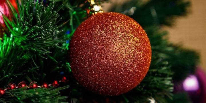 ¿Cuándo se debe poner el árbol de Navidad en 2025, según la tradición?