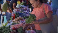 Prográmese: este sábado hay mercado campesino en Envigado