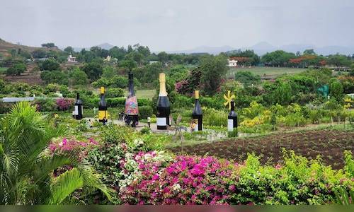 Sula Vineyards Q2 profit falls over 58% YoY to ₹6 crore; revenue flat at ₹139.6 crore