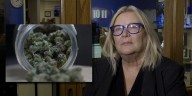 ‘Will of the People’: UNMC pharmacologist on medical cannabis safety, applications