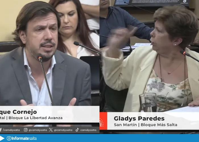 Emergencia socio sanitaria: La diputada Paredes cruzó a la oposición y los mandó a recorrer el norte