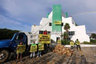 Denuncia daños y violaciones ambientales en Campeche y Quintana Roo por instalación del Tren...
