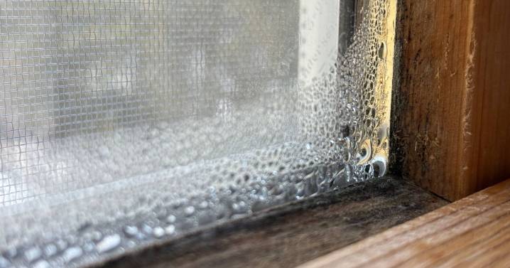 Clever way to banish window condensation by implementing 1 daily habit