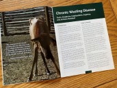 Province launches CWD Dashboard to help monitor and manage disease in big game