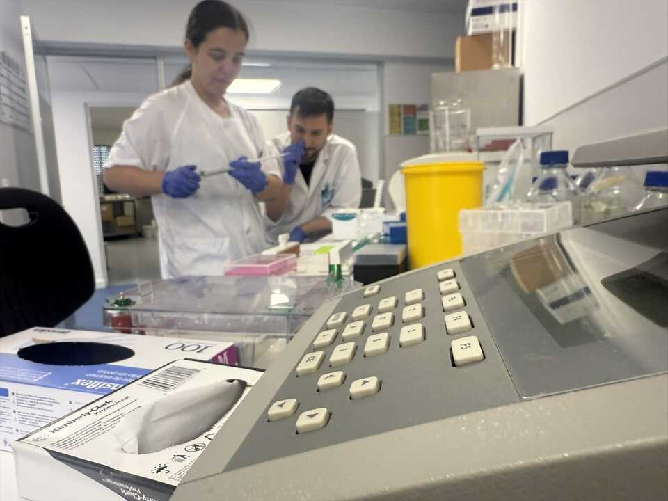 La Carolina dejará de estar mañana en alerta por fiebre del Nilo