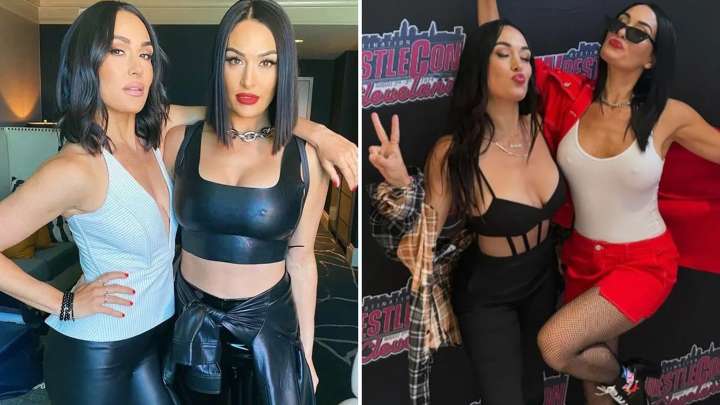 The Bella Twins Hot Shots -- Nikki and Brie Turn 42!