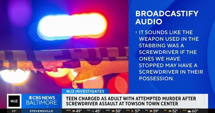 Teen charged as adult after violent assault with screwdriver inside mall