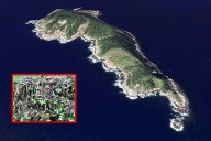 La Isla de las Serpientes en Brasil: el lugar más peligroso del planeta