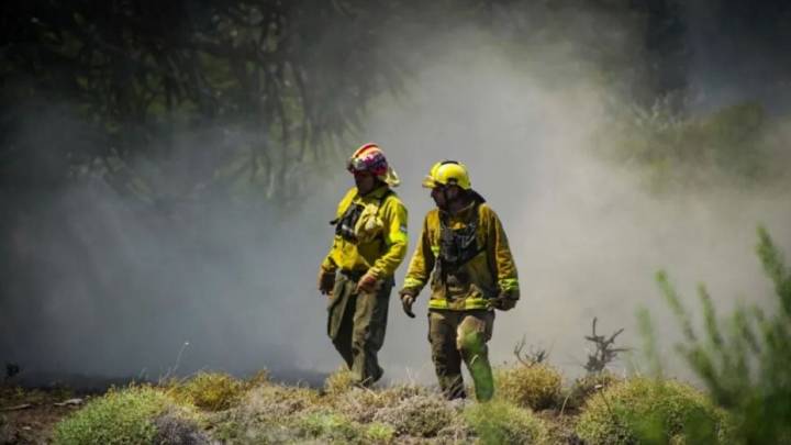 Incendios forestales: el COE centraliza la lucha contra 12 focos de Fuego en la zona Cordillerana
