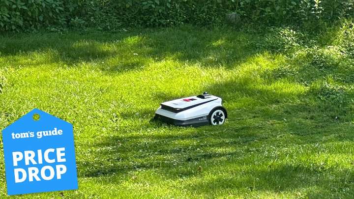 I love my robot lawn mower, and early Black Friday sales will make buying yours more affordable