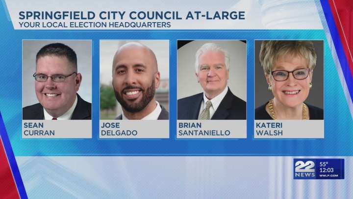 Springfield city council and school committee election results